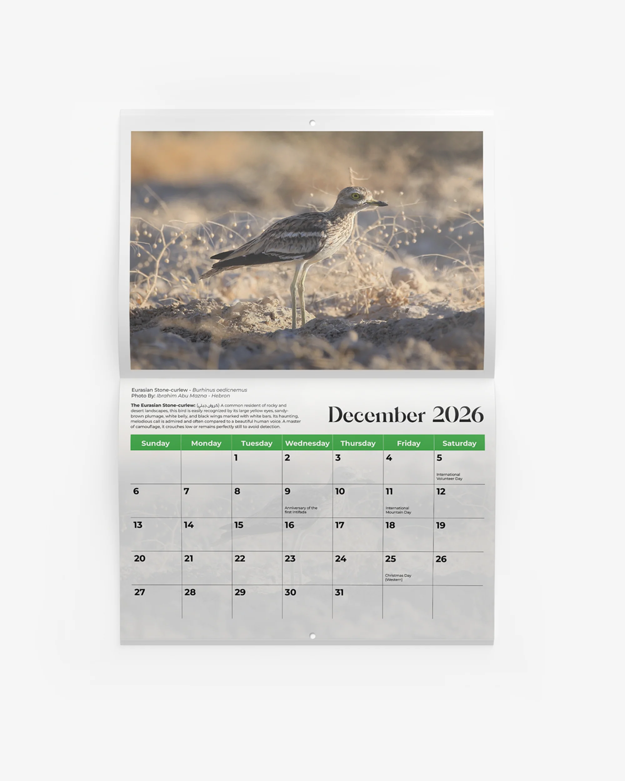 Birds of Palestine Calendar 2026 - Image 5