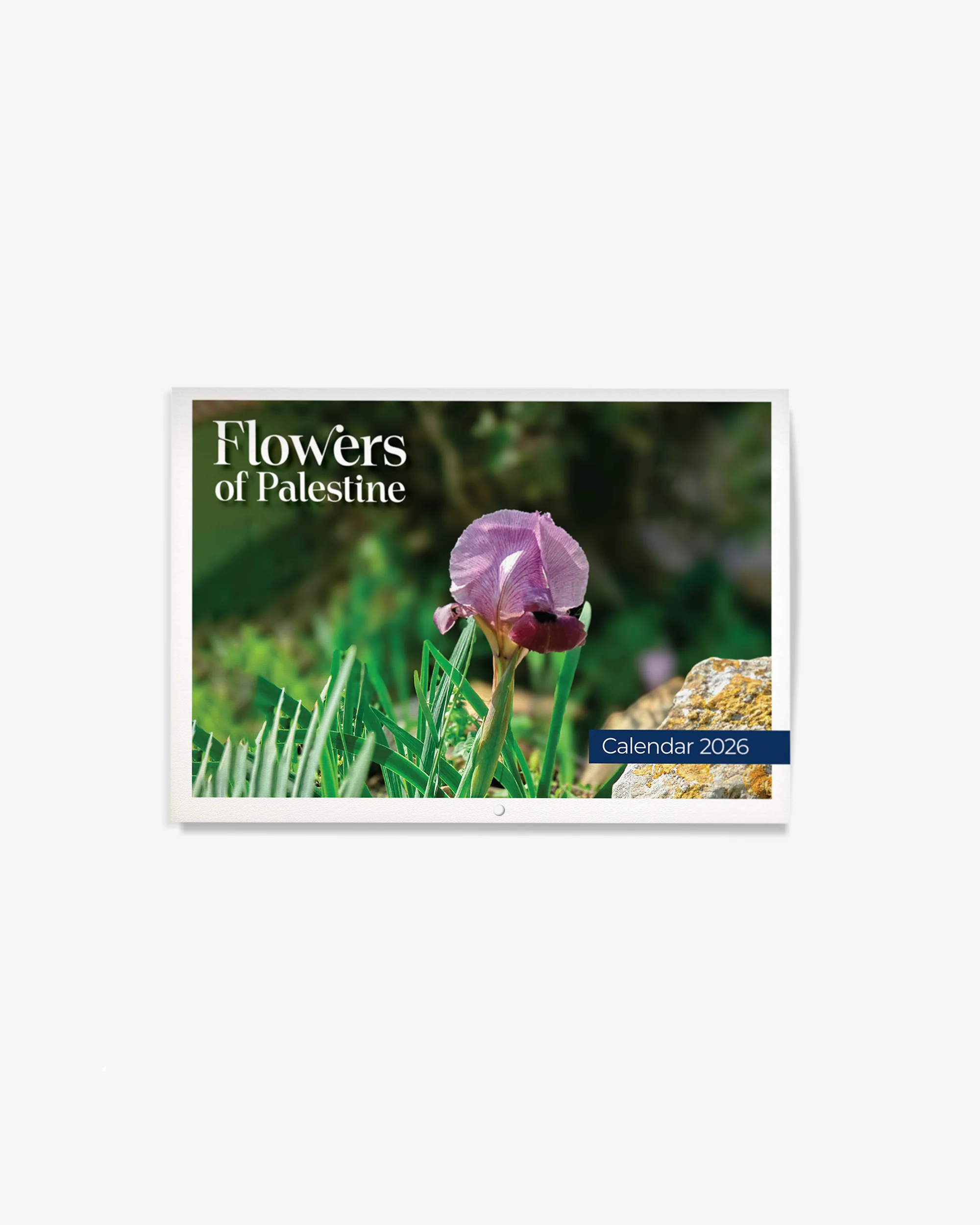Flowers of Palestine Calendar 2026 - Image 6