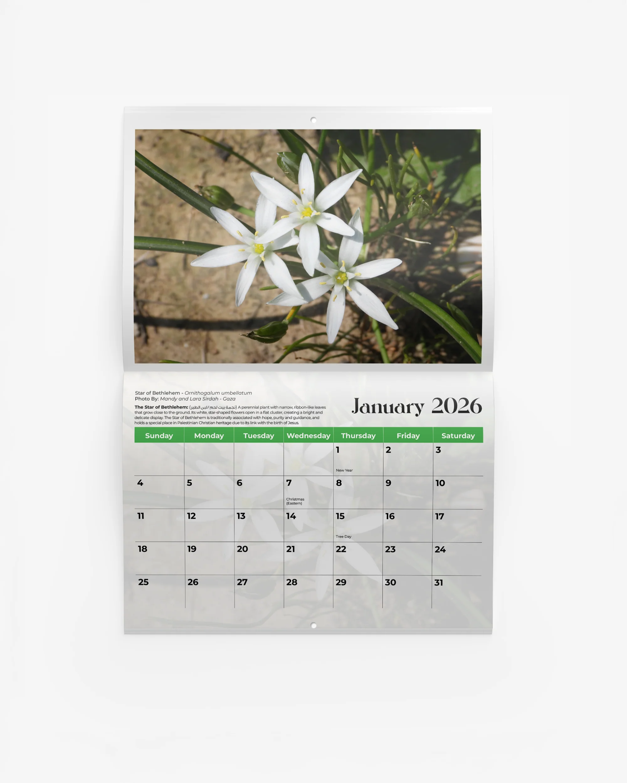 Flowers of Palestine Calendar 2026
