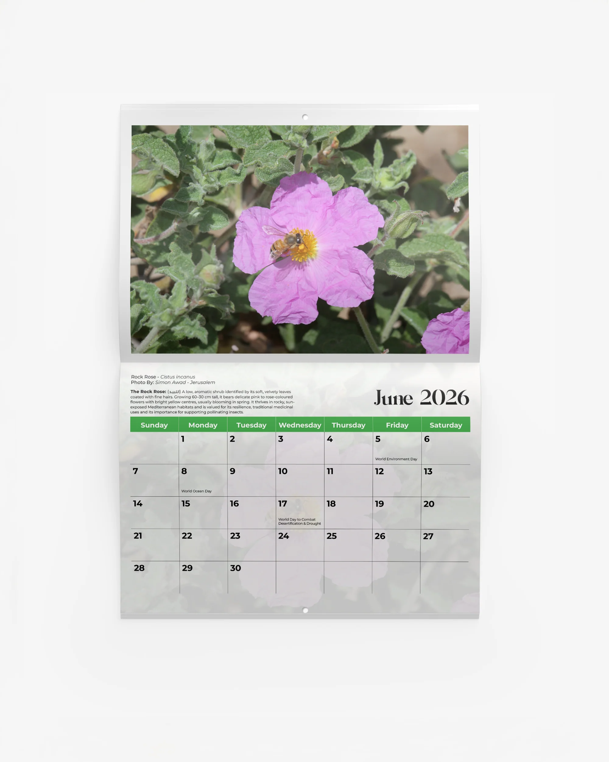 Flowers of Palestine Calendar 2026 - Image 2