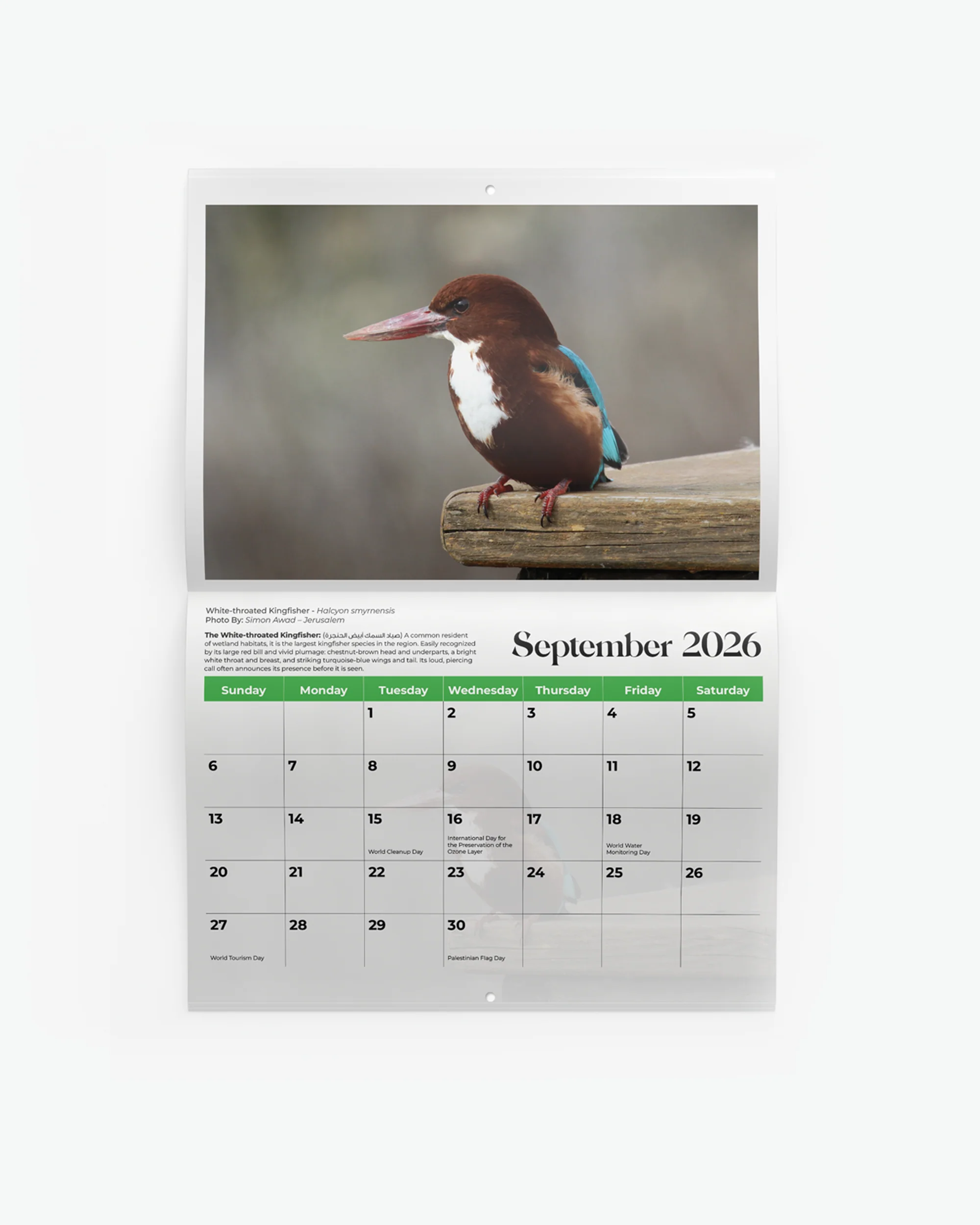 Birds of Palestine Calendar 2026 - Image 2