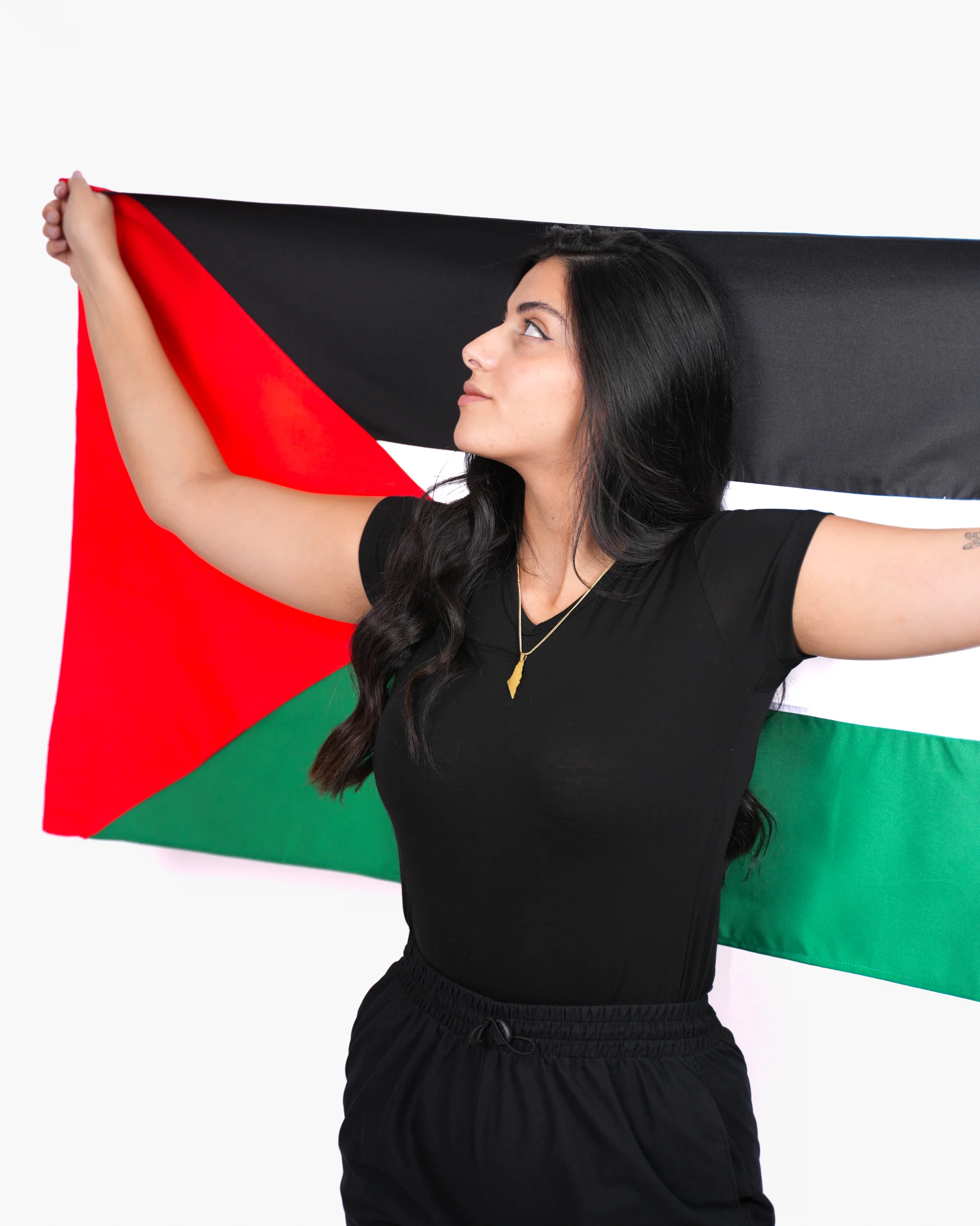 Sumud Palestine Flag - Image 4